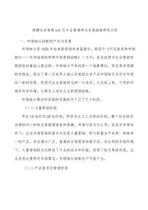 便携式音视频SoC芯片全景调研与发展战略研究分析.docx