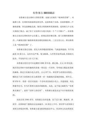 布鲁塞尔.docx