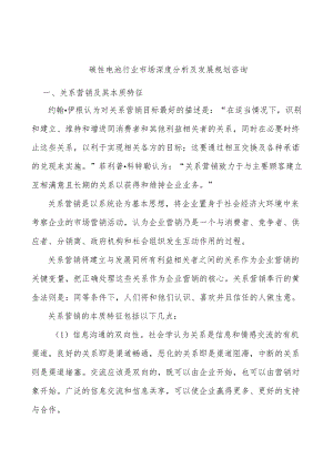 碳性电池行业市场深度分析及发展规划咨询.docx