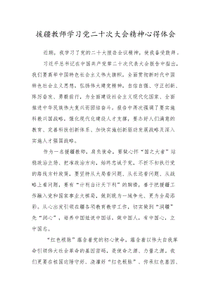 援疆教师学习党的第二十次大会精神心得体会范文九.docx