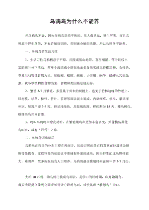 乌鸫鸟为什么不能养.docx