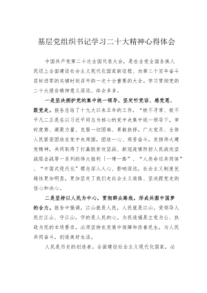 基层党组织书记学习二十大精神心得体会.docx
