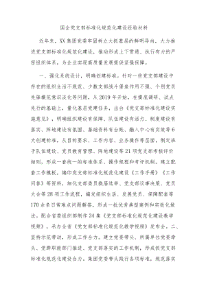 国企党支部标准化规范化建设经验材料.docx