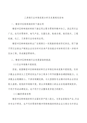 工具钢行业市场深度分析及发展规划咨询.docx