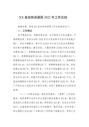 XX县自然资源局2022年工作总结.docx