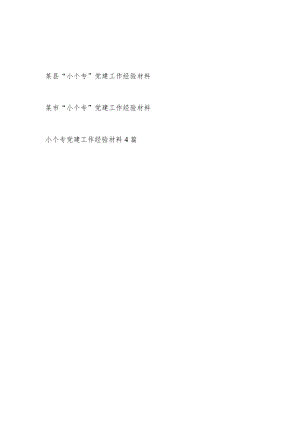 2023某市县“小个专”党建工作经验材料6篇.docx