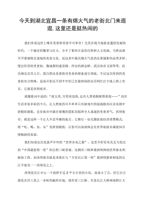 今天到湖北宜昌一条有烟火气的老街北门来逛逛,这里还是挺热闹的.docx
