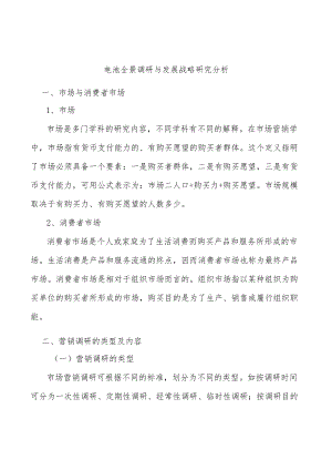 电池全景调研与发展战略研究分析.docx