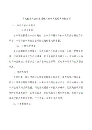 手机租赁产业深度调研及未来发展现状趋势分析.docx