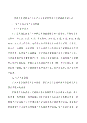 便携式音视频SoC芯片产业发展前景预测与投资战略规划分析.docx