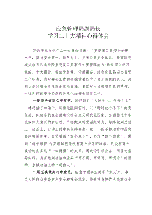应急管理局副局长学习二十大精神心得体会.docx