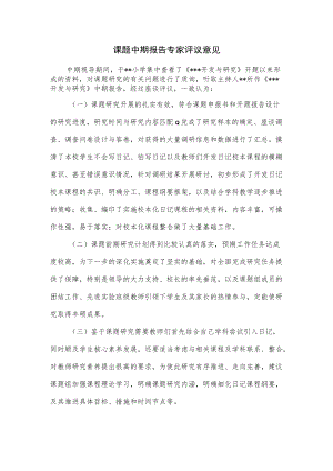 课题中期报告专家评议意见.docx