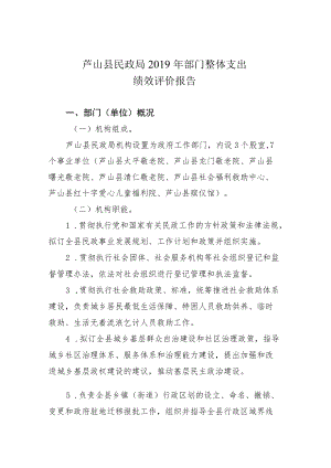 芦山县民政局2019年部门整体支出绩效评价报告.docx