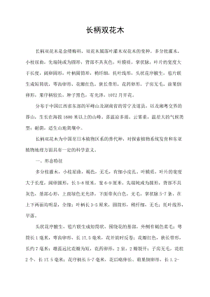 长柄双花木.docx