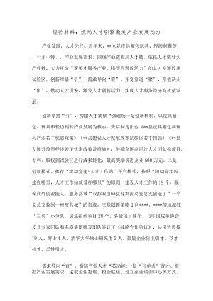 经验材料：燃动人才引擎 激发产业发展动力.docx