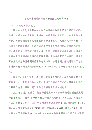 锂离子电池系统行业市场突围战略研究分析.docx