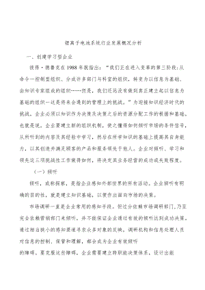 锂离子电池系统行业发展概况分析.docx