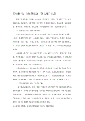 经验材料：全链条建强“领头雁”队伍.docx