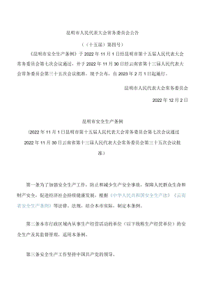 昆明市安全生产条例.docx