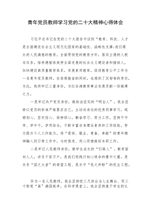 青年党员教师学习党的二十大精神心得体会（三）.docx