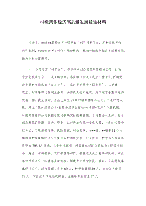 村级集体经济高质量发展经验材料.docx