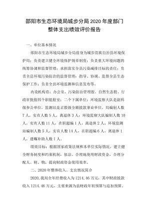 邵阳市生态环境局城步分局2020年度部门整体支出绩效评价报告.docx