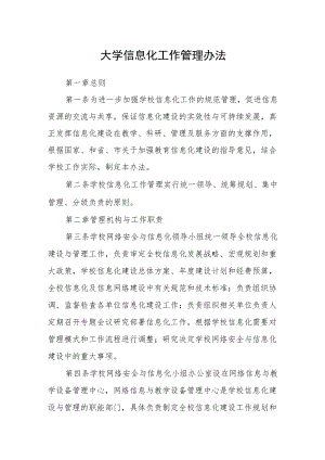 大学信息化工作管理办法.docx