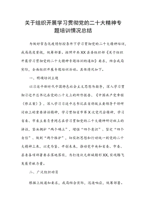 关于组织开展学习贯彻党的二十大精神专题培训情况总结.docx