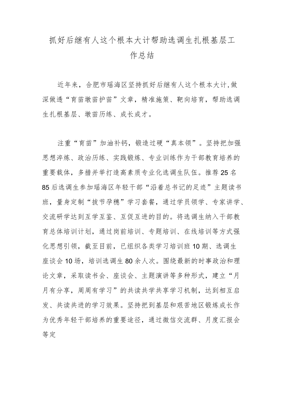 抓好后继有人这个根本大计帮助选调生扎根基层工作总结.docx_第1页