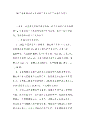 2022年乡镇农技站上半年工作总结及下半年工作计划.docx