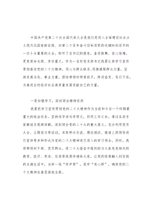 2023农村党支部书记贯彻落实党的二十大精神学习心得体会感想领悟6篇.docx