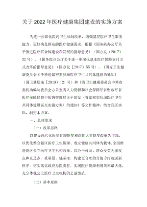 关于2022年医疗健康集团建设的实施方案.docx