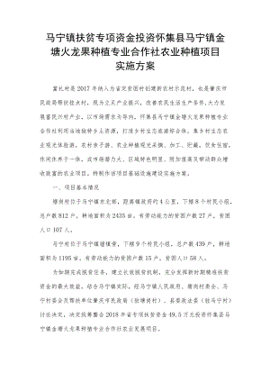马宁镇扶贫专项资金投资怀集县马宁镇金塘火龙果种植专业合作社农业种植项目实施方案.docx