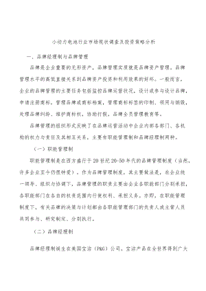 小动力电池行业市场现状调查及投资策略分析.docx