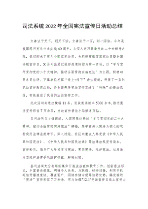 司法系统2022年全国宪法宣传日活动总结.docx