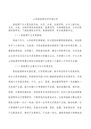 山西新能源项目环境分析.docx
