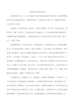 挂职收获及思考体会.docx