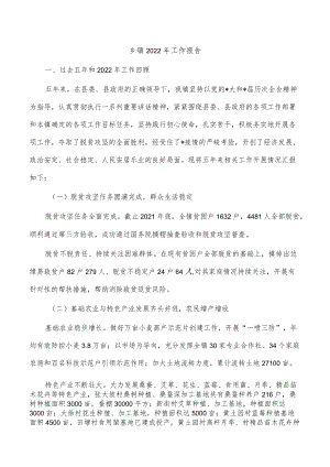 乡镇2022年工作报告.docx
