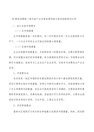 PE蓄电池隔板二氧化硅产业发展前景预测与投资战略规划分析.docx