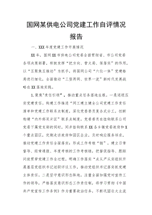 国网某供电公司党建工作自评情况报告.docx