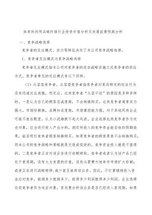 体育休闲用品碳纤维行业投资价值分析及发展前景预测分析.docx