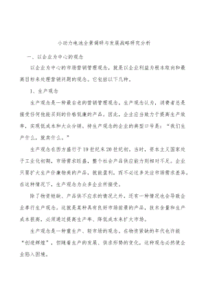 小动力电池全景调研与发展战略研究分析.docx