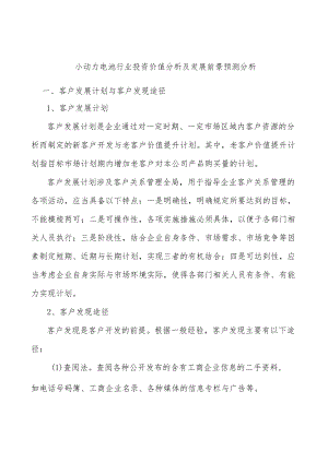 小动力电池行业投资价值分析及发展前景预测分析.docx