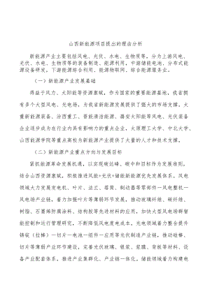 山西新能源项目提出的理由分析.docx