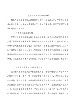 核能项目提出的理由分析.docx