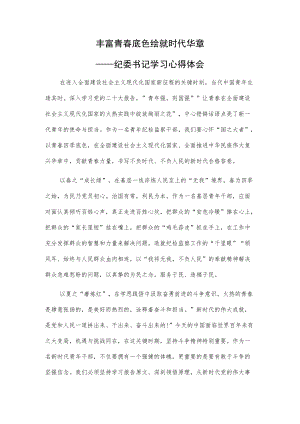 丰富青春底色绘就时代华章——纪委书记学习心得体会.docx