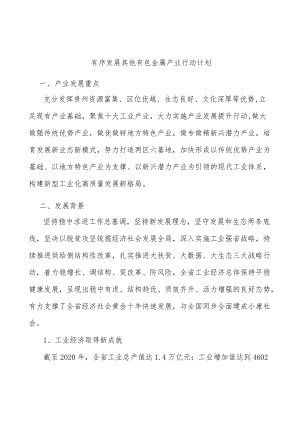 有序发展其他有色金属产业行动计划.docx