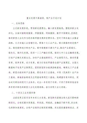 重点发展中高端铝、钢产业行动计划.docx
