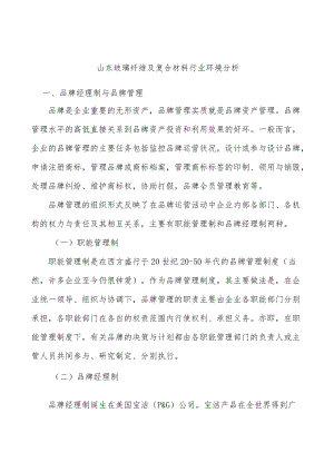 山东玻璃纤维及复合材料行业环境分析.docx