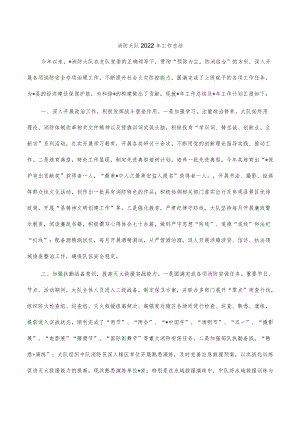 消防大队2022年工作总结.docx